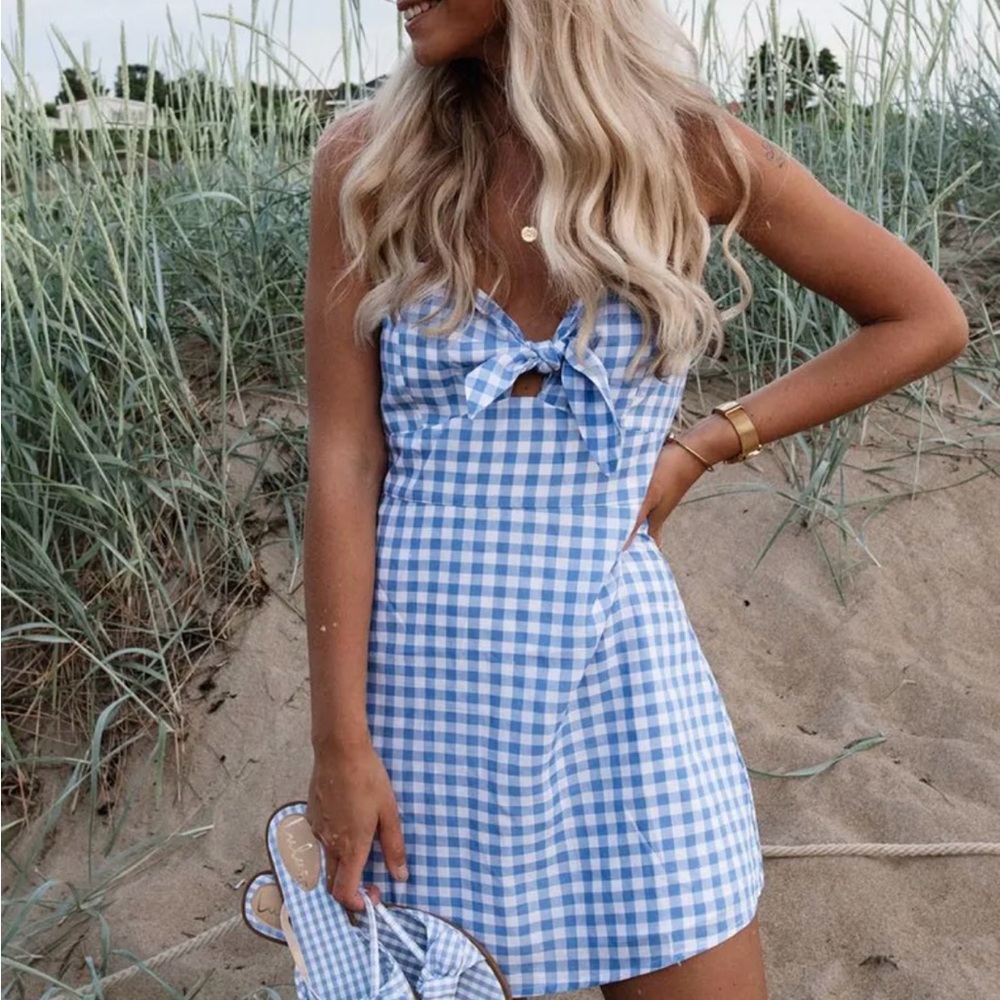 Lulu's Blue & White Gingham Tie-Front Mini Dress